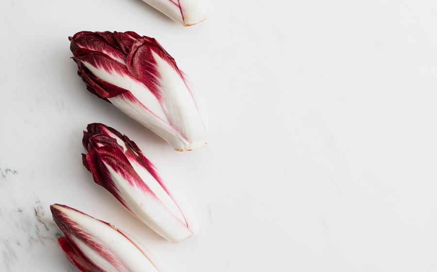 Deux maraîchers récoltant des légumes à la main dans un champ