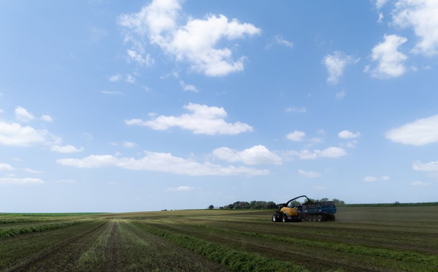 Une ensileuse jaune remplit une remorque tirée par un tracteur au milieu d'un vaste champ de fourrage, sous un grand ciel bleu parsemé de nuages blancs