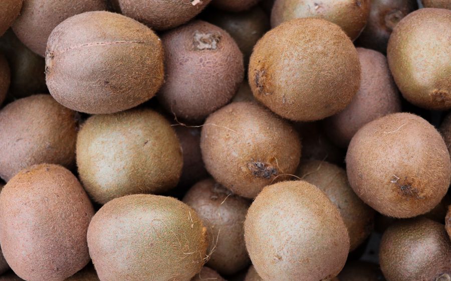 Gros plan sur un tas de kiwis mûrs à la peau duveteuse