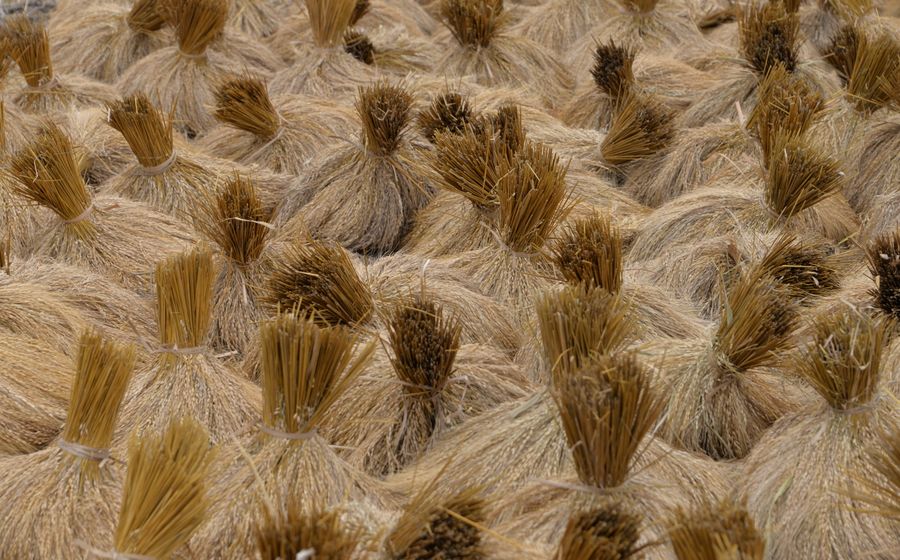 Vue aérienne de champs agricoles français en fin d'été, parcelles asséchées