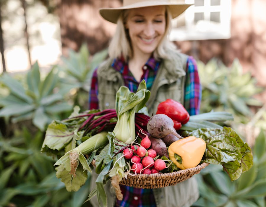 Panier Légumes Anciens — 5 kg