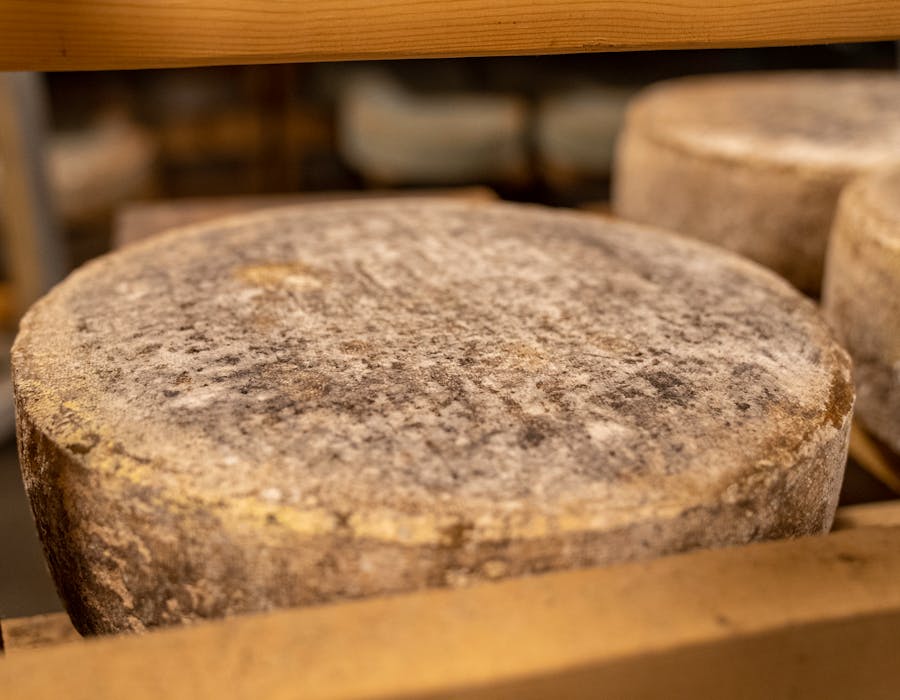 Tome de Salers — Lait Cru